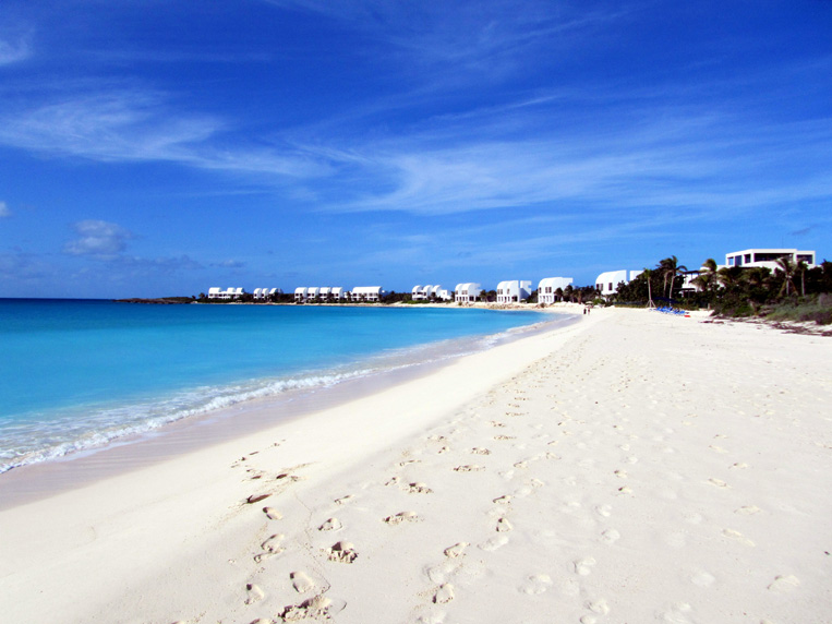 anguilla001.jpg