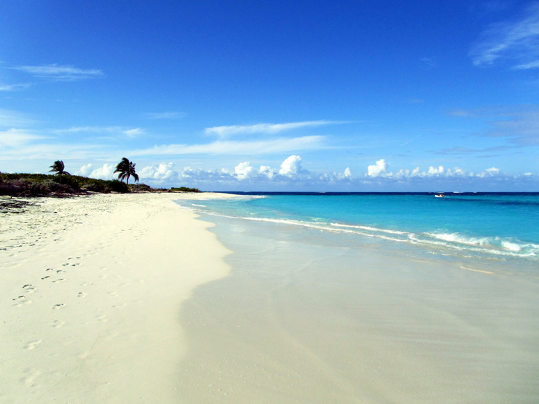 anguilla020.jpg