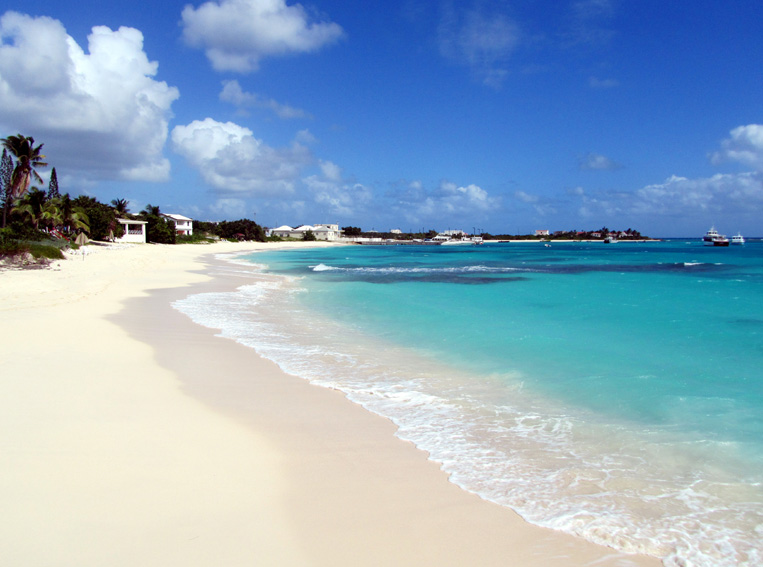 anguilla035.jpg