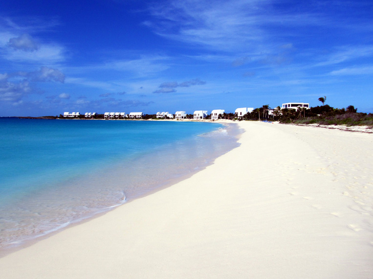 anguilla044.jpg