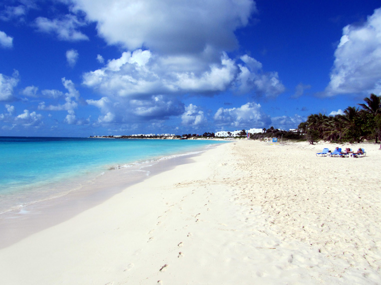 anguilla064.jpg